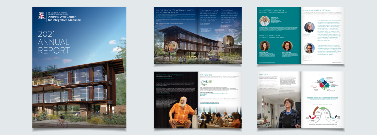 annual report mock up design example